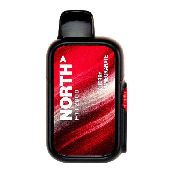 North FT12000 Disposable (Cherry Pomegranate)