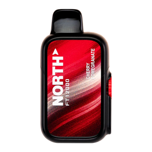 North FT12000 Disposable (Cherry Pomegranate)