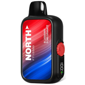 North FT12000 Disposable (Blueberry Pomegranate)