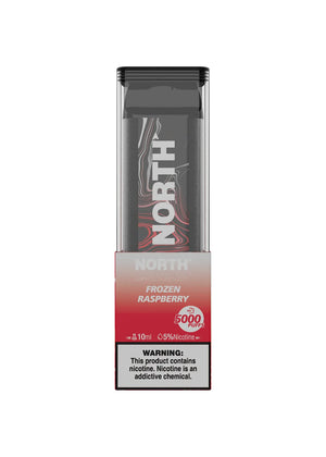 North 5000 5% 10mL Disposable (Frozen Raspberry)